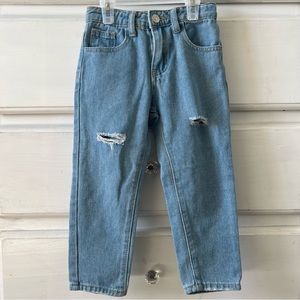 Light Wash Straight Leg Jeans (4-5T)
